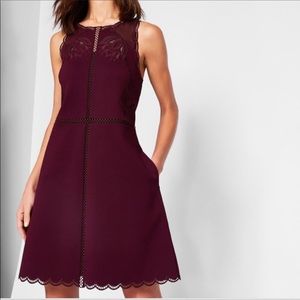 Ted Baker Dresses - Ted Baker Codi Embroidered Scalloped Dress Ted Baker Dresses - Ted Baker Codi Embroidered Scalloped Dress